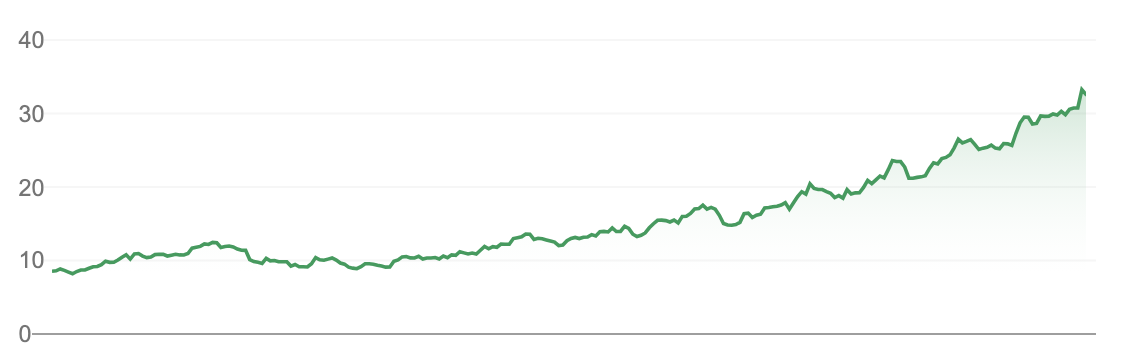 chart shows pro medicus share pricing rising from $10 to over $30 in one year