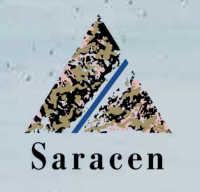 saracen minerals share price logo
