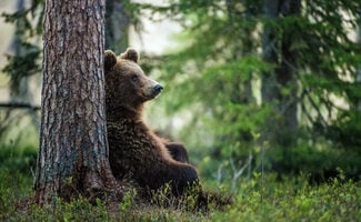 ASX bear market survival guide – Marcus Padley