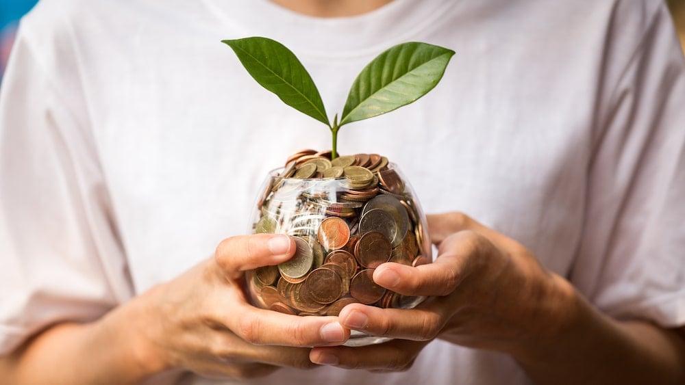 dividends with coins and a plant in a jar