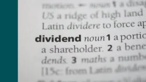 view of the definition of dividend