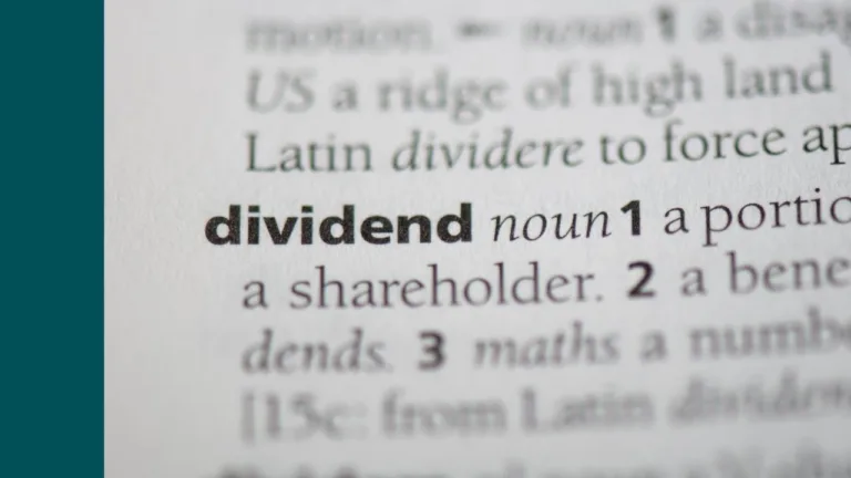 view of the definition of dividend