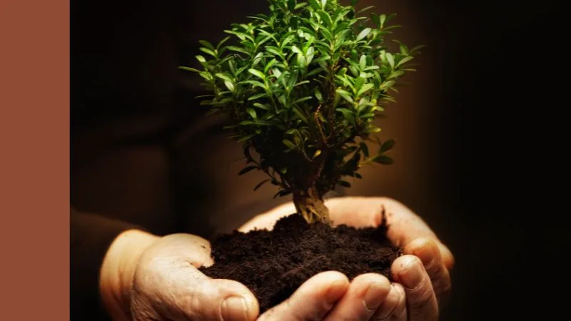 DroneShield (ASX:DRO) share price in focus on 121% growth in 2026 first quarter