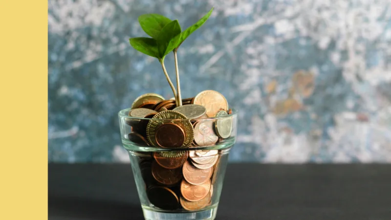 Seedling growing from a glass of coins