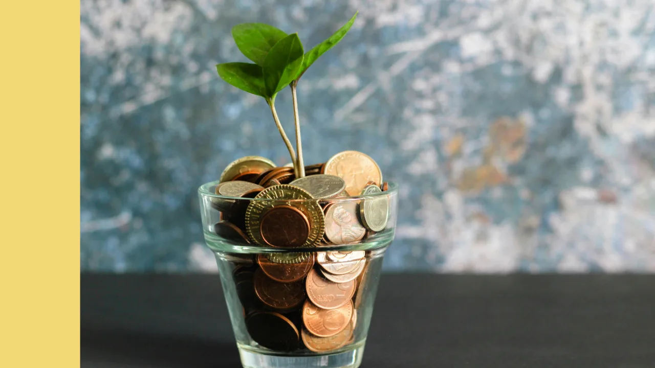 Seedling growing from a glass of coins
